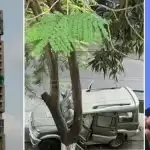 Owner of explosive-laden SUV spotted outside Antilia commit suicide!