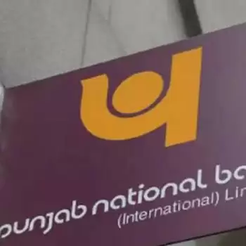 PNB rasided Rs 1,800 crore by selling 53 crore shares on a private placement basis