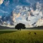 Things you need to know about Careers in Agriculture