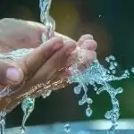 Are hands too dry? Here are two ways to curb it