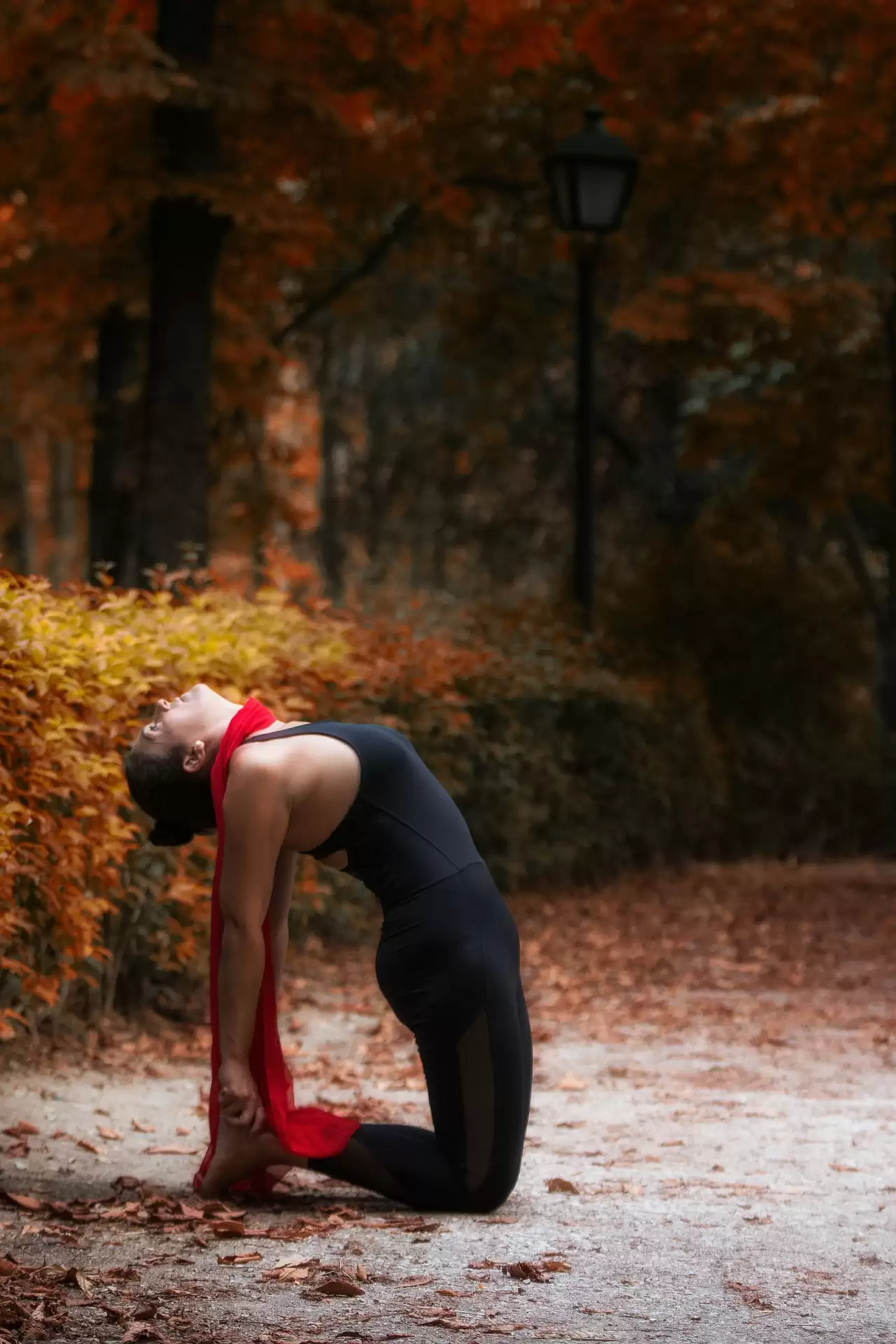 Regular Practice these immunity-boosting asanas for good health.