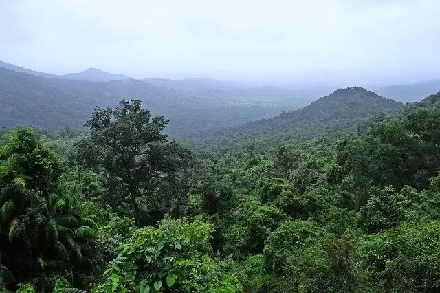 Fantastic Jungle Trekking Destinations In India