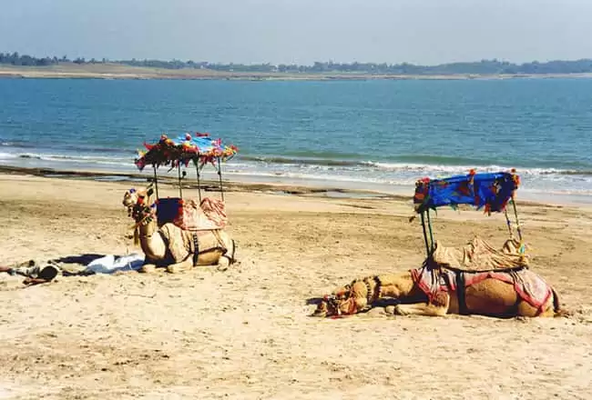 Let’s Explore Some Famous Islands In India