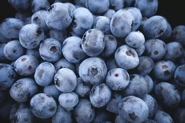 Foods That are Good for Your Brain Power