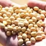 Droughts, Covid intensify food shortage in Kenya, other parts of East Africa