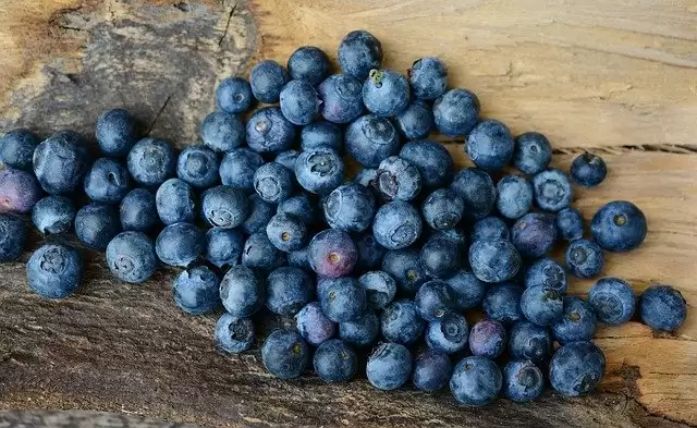 Diet you should have in summer to beat the heat and keep yourself hydrated