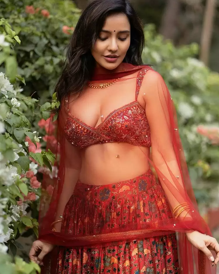 Neha Sharma Hot Pictures