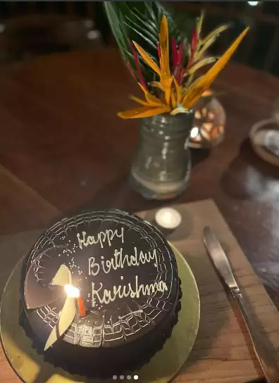 Karishma Tanna Celebrated Her Birthday With a Delicious Chocolate Cake, Check Pictures Here!