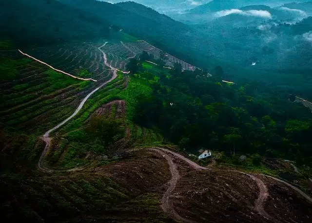 4 Hill Stations to Visit in Kerala