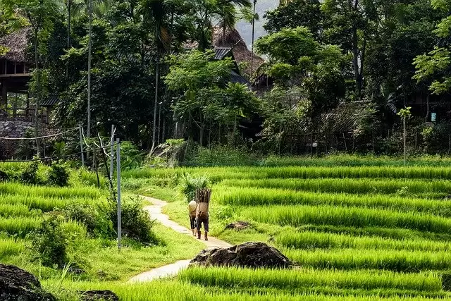 Offbeat Destinations Of Vietnam