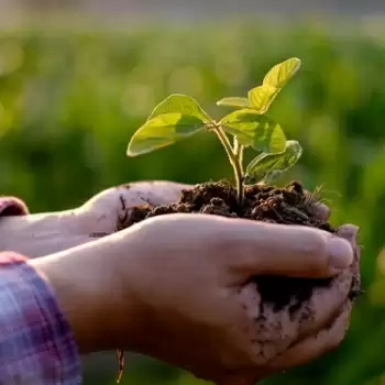“11 Days for Earth’s Healing” on a mission to restore the ecosystem