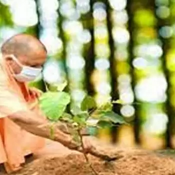 New record of tree plantation: over 25 crore saplings planted in a single day in UP
