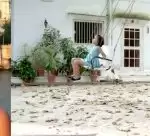 The fairies among us