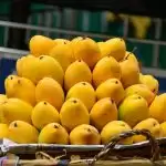 Study stresses the importance of mangoes to reduce facial wrinkles