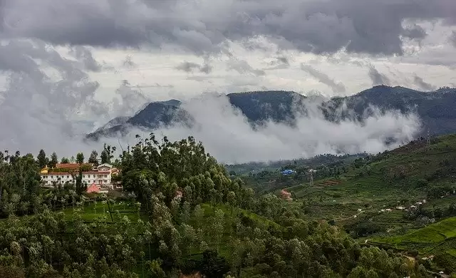 Fantastic Jungle Trekking Destinations In India