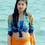 Bollywood has space for everyone: Pranitha Subhash