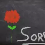 Forgiveness is the key to a peaceful mind
