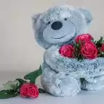 Teddy Day 2021: Why gift teddy on this day?