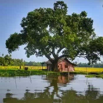 Five Places To Explore In Kerala