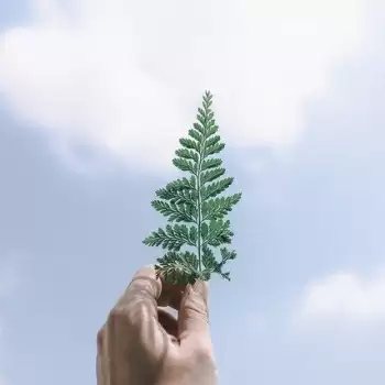 Why do I feel God is the only one up there?