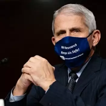 ‘It would be better’ if health officials could start working with Biden team: Fauci