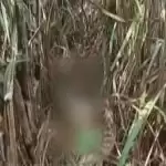 UP: Another innocent killed in Lakhimpur Kheri after rape