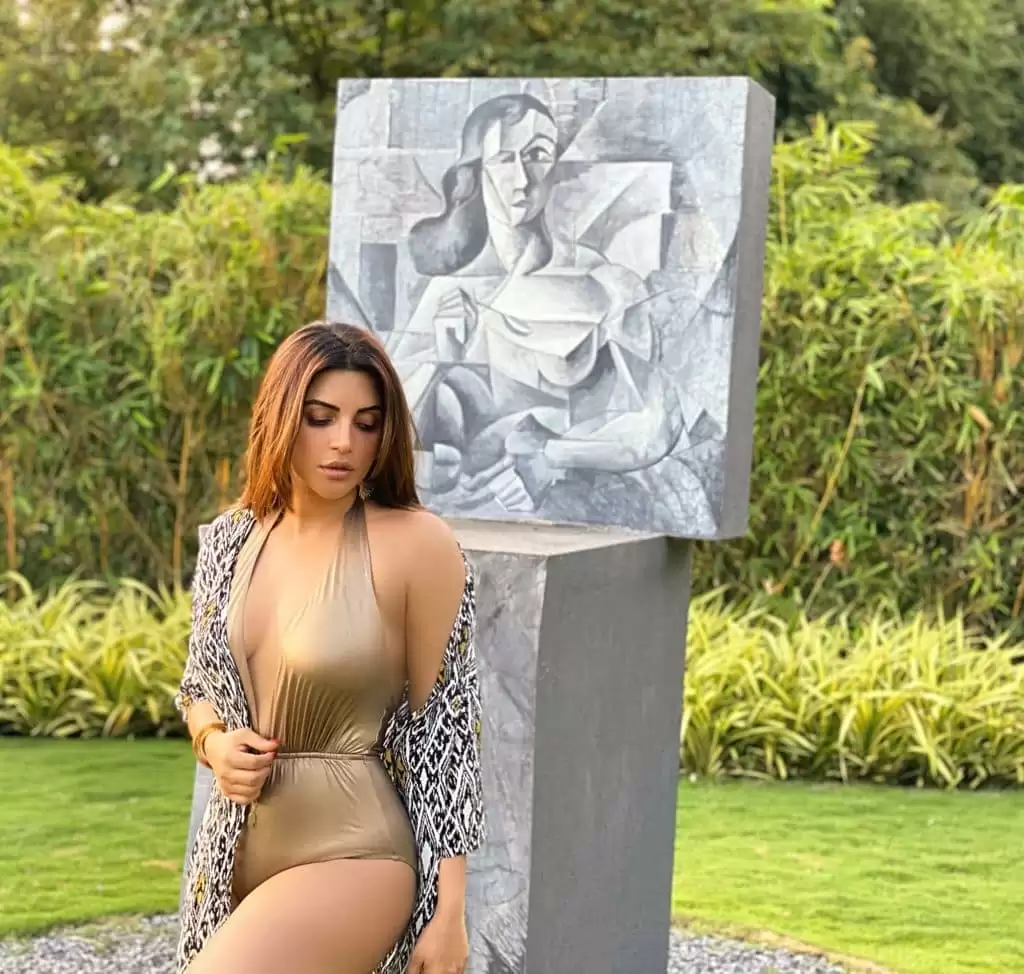 Shama Sikander Oozes Glamour, Looks Hot In These Sexy Pictures