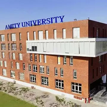 Amity University organized Faculty Development Programme on R-Language and Python Programming