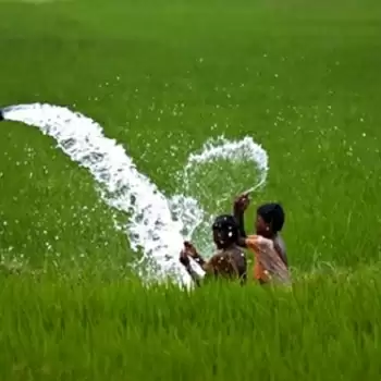 UP Govt to launch mega irrigation projects