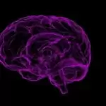 World Alzheimer’s Day: Understanding the Disease