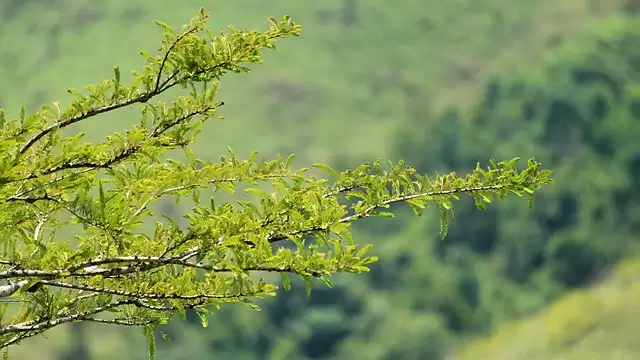 India’s Isolated Destinations For A Quiet Gateway