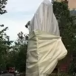 Mahatma Gandhi’s statue vandalised by protesters in Washington