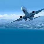 Domestic flights will resume from Monday