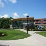 61% students do not have plans for foreign education