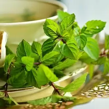Morning rituals that are too simple to ignore for your health