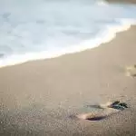What is ‘One Step at a Time’?
