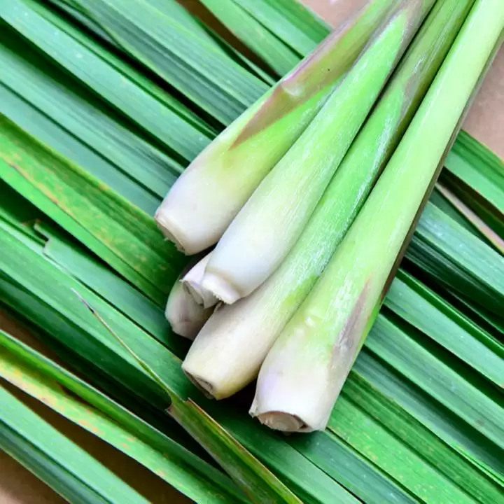 Foods you must-have in summer to keep bloating, acne, itchiness away