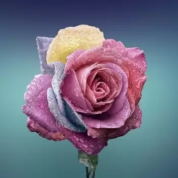 What is Love Really?