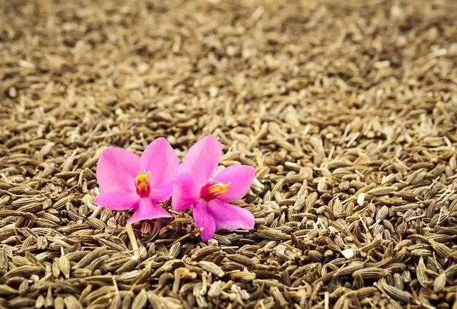 Foods you must-have in summer to keep bloating, acne, itchiness away