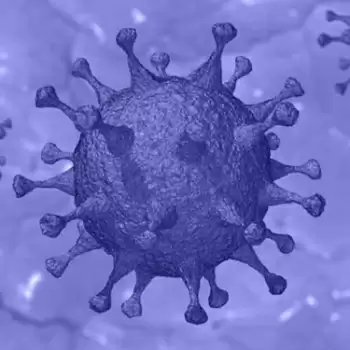 India detects over 24K mutations in the strains of SARS-CoV-2