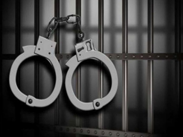 Couple held for disrespecting national flag, released on bail