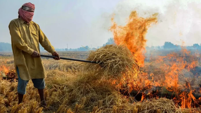 UP set to impose fine on farmers for burning stubbles in fields