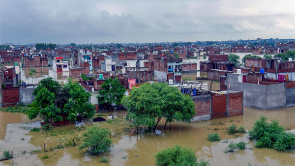 heavy rain in UP village
