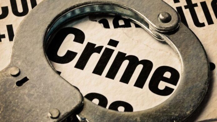 Delhi man kills 4 of his family for argument over stable job