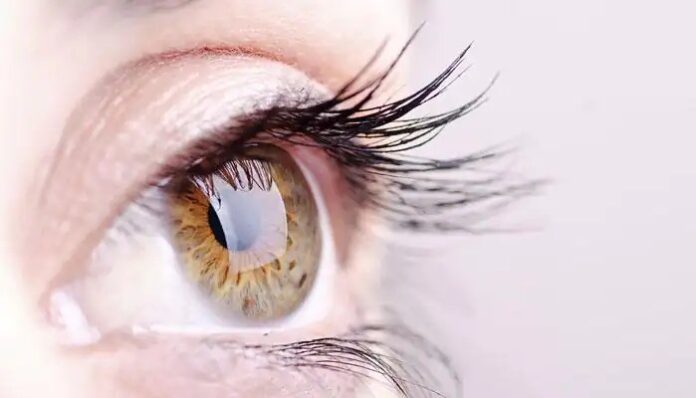 After 8 lose sight, Kanpur CMO eye check-up camps