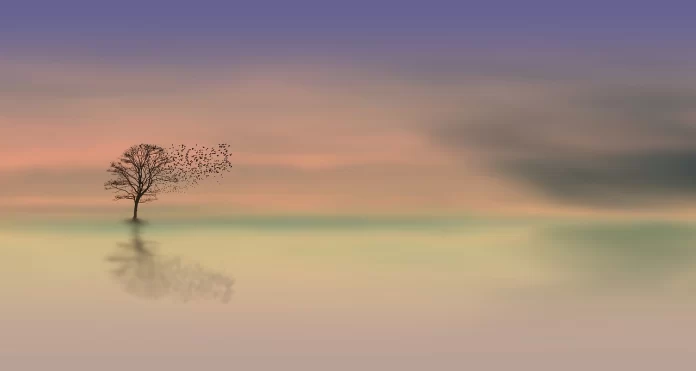 calmness outside