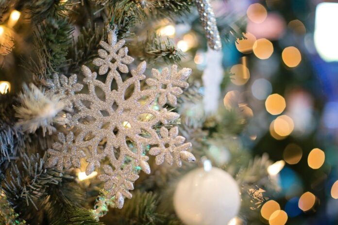 Cheerful Christmas Feast In Delhi-NCR