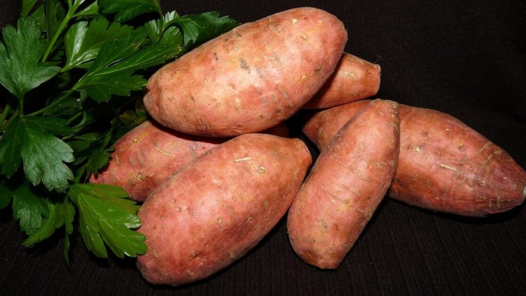 FoodItemsToFightAcne1 Buziness Bytes Food Items To Fight Acne