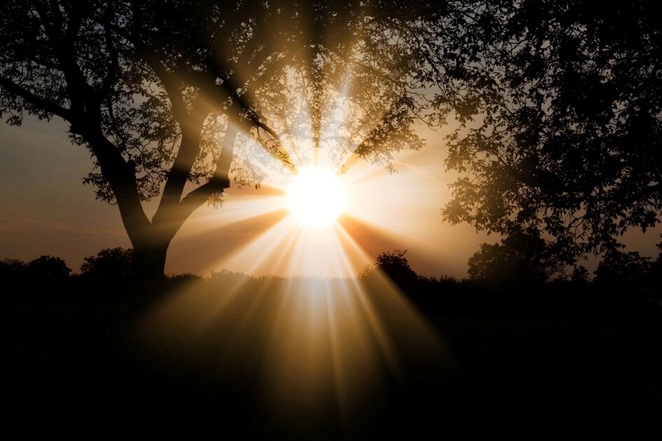 HealthBenefitsofSunlight1 Buziness Bytes Health Benefits of Sunlight