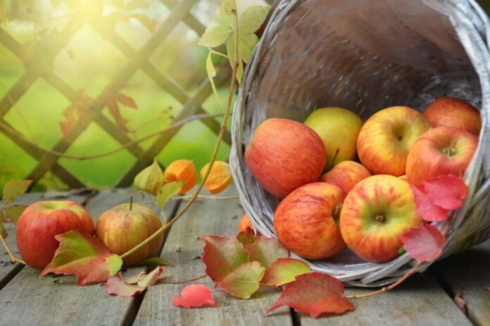 Winter Fruits For Weight Loss